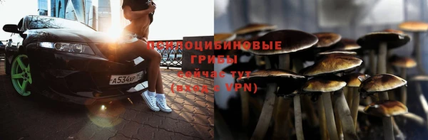 spice Горно-Алтайск