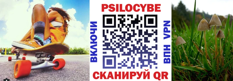 хочу   Железноводск  Псилоцибиновые грибы мухоморы 