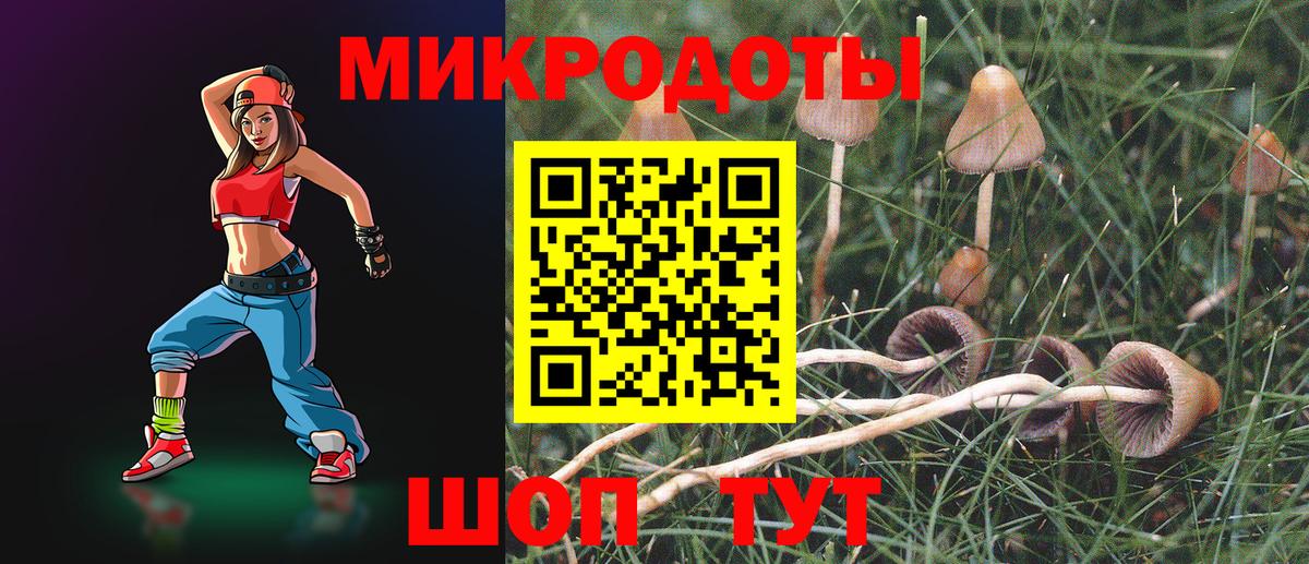 Псилоцибиновые грибы GOLDEN TEACHER Железноводск