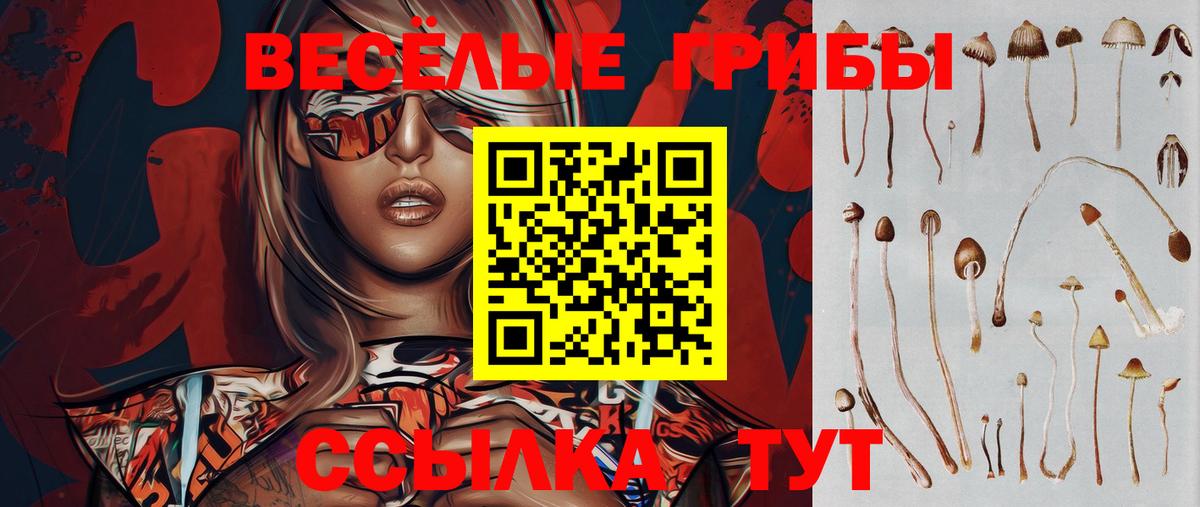 Железноводск  Псилоцибиновые грибы прущие грибы  продажа наркотиков  Вход с VPN 